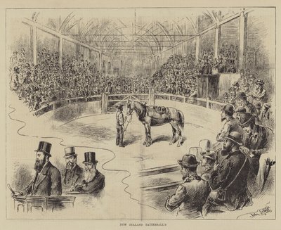 Tattersall de Nouvelle-Zélande - John Jellicoe